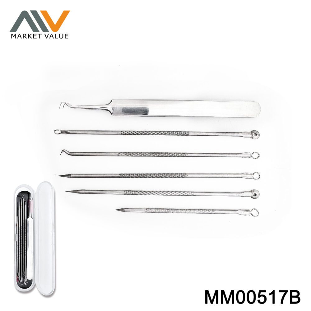 6Pcs Acne Needle In Pvc Case