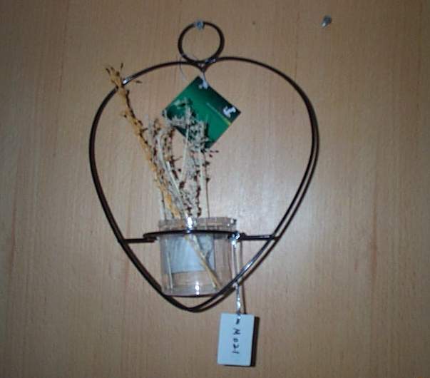 MB602 Plant Hang Rack