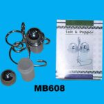 2Pcs Salt & Pepper Bottle In Colour Box