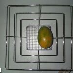 Square Steamer