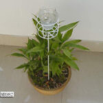 Garden Rack