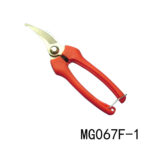 MG067F-1.jpg