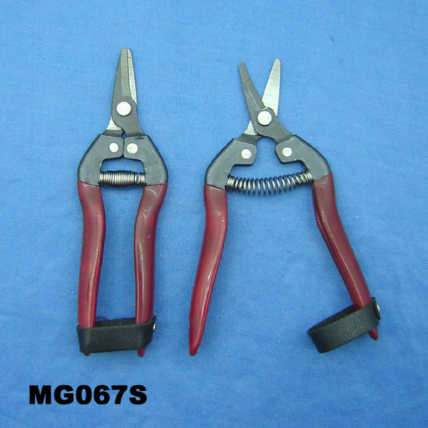 Garden Scissors T/C