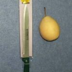 8" Cleaver Knife 1.8Mm W/Abs Handle In Pvc Bag