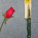 3" Paring Knife Abs Handle