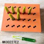 24Pcs Fruit Knife + Cover With Colour Box