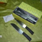 Fruit Knife