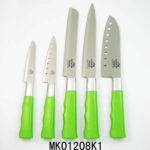 5Pcs Plastic Handle S.S Knife Set