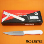 12Pcs Plastic Handle 5" Fruit Knife With Colour Box