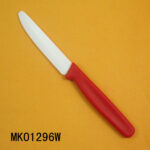 Ceramic Fruit Knife With Plastic Handle