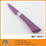 3 In Stainless Steel Fruit Knife