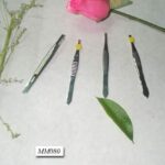 Beauty Tweezer