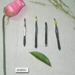 Beauty Tweezer