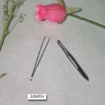 Beauty Tweezer