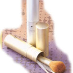 4Pcs Make Up Brush In Container