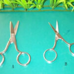 S/S Beauty Scissors