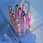 Eyebrow  Tweezer 12Pcs In Display Rack