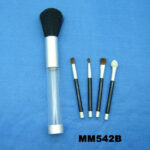 5Pcs Beauty Brush