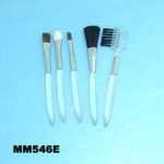 5Pcs Beauty Brush