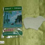 Wash Face Brush