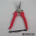 S.S Garden Scissors B/C