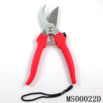 S.S Garden Scissors B/C