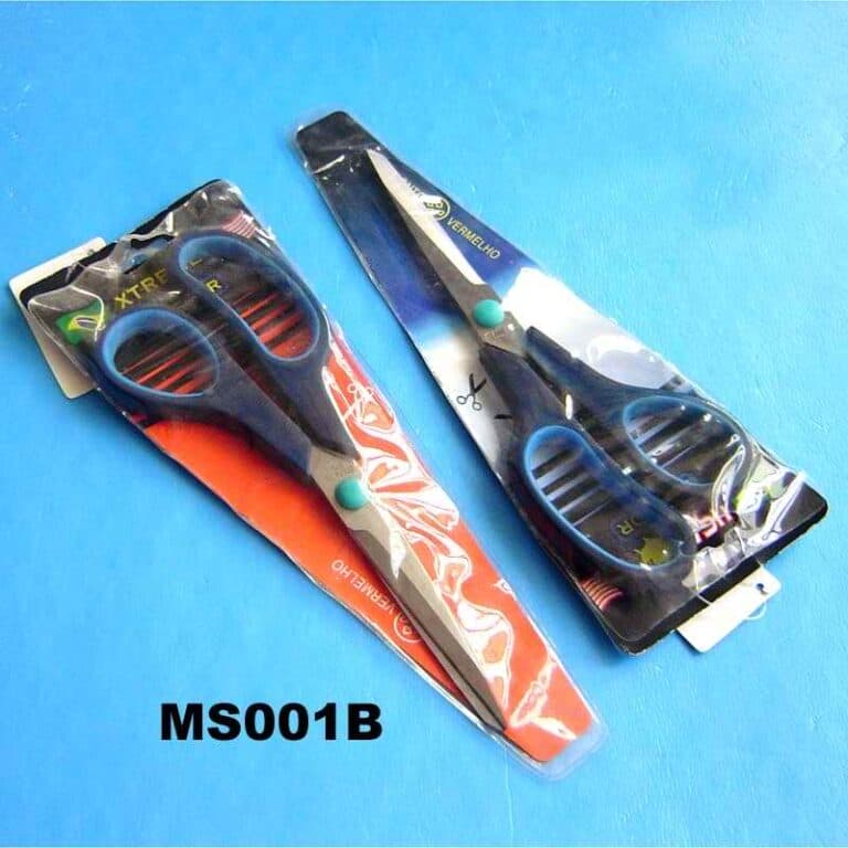 MS001B.jpg