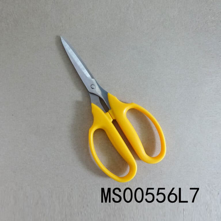 Ss Scissors