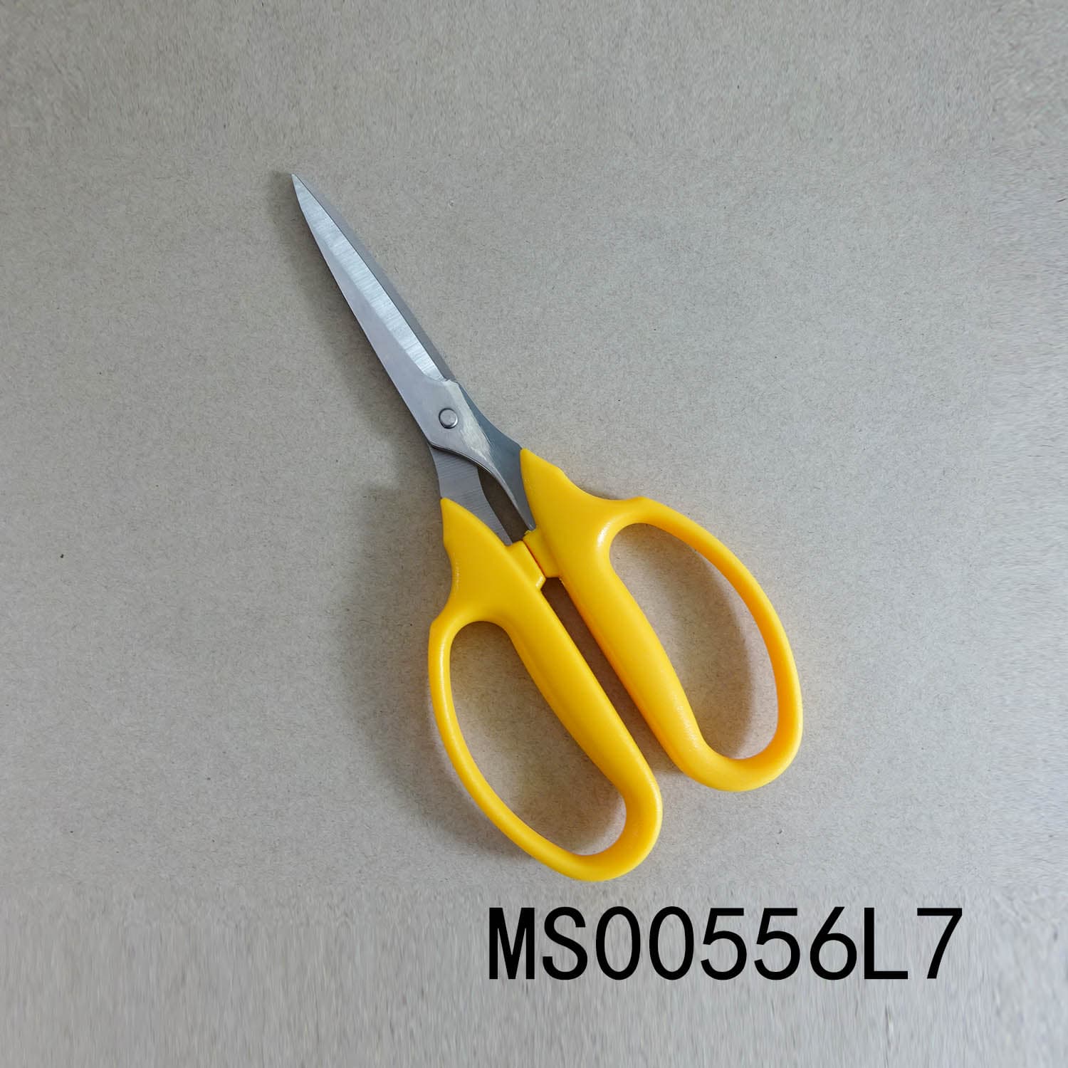 MS00556L7 Ss Scissors
