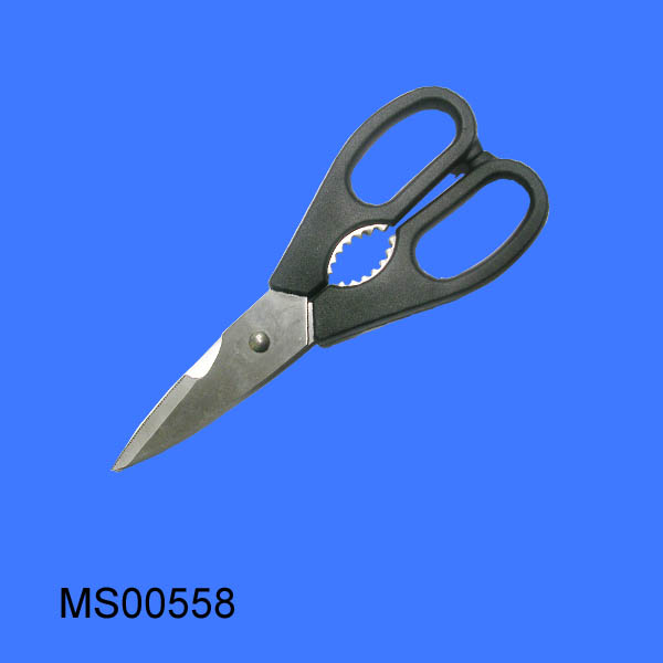 MS00558.jpg