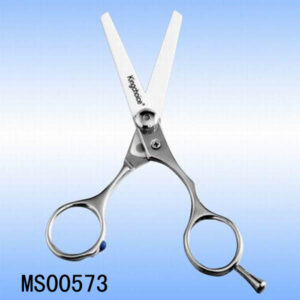 Ceramic Scissors Steel Handle In Window Box