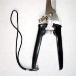 S/S Garden Pruners