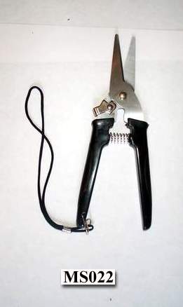 S/S Garden Pruners