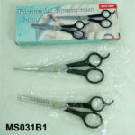 2Pcs Haircut Scissors In Colour Box