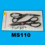 MS110.jpg
