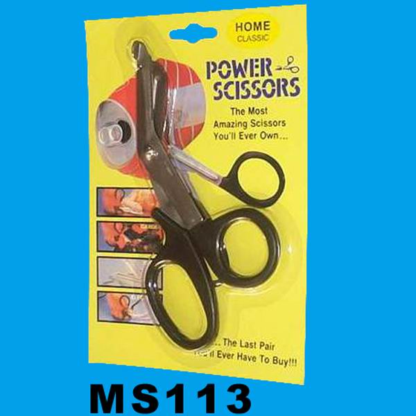 MS113 MS113.jpg