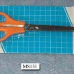 5.5" Student Scissors B/C