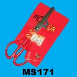 Scissors In Card