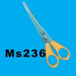 5.5" S/S Scissors