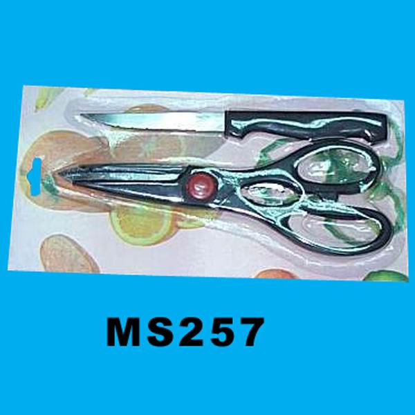 MS257.jpg