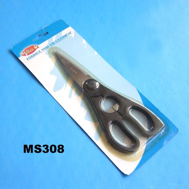 MS308.jpg