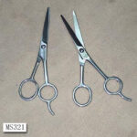S/S Barber Scissors