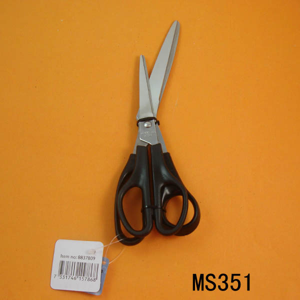 MS351.jpg