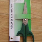 6" S/S Scissors