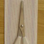 8" S/S Scissors B/C