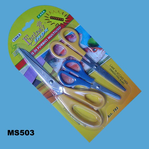 MS503.jpg