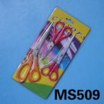 MS509.jpg