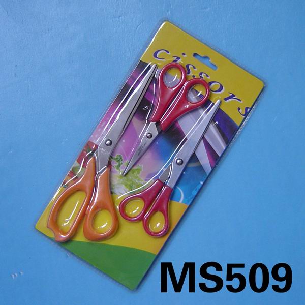 MS509.jpg