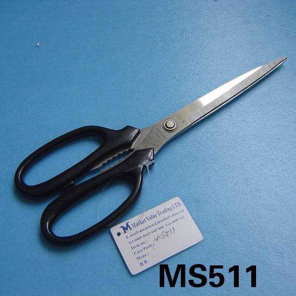 MS511.jpg