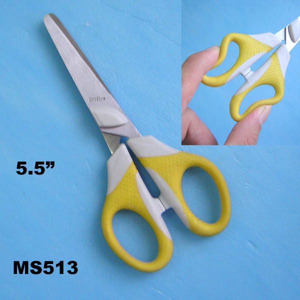 MS513.jpg